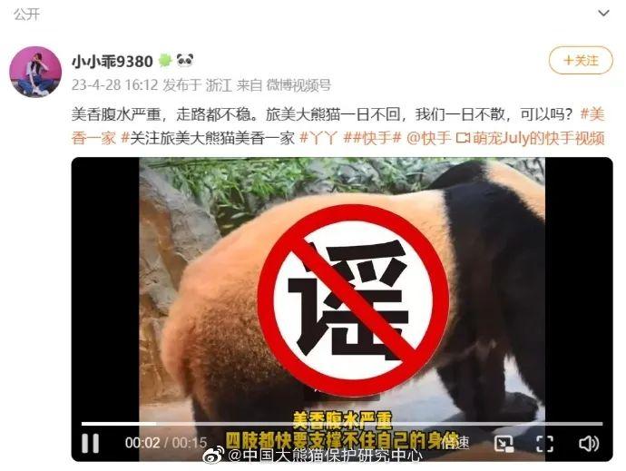 “小丫”去世，官方公布多只网友关心的大熊猫现状