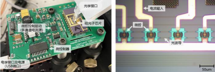 图 | 完整封装的硅光芯片,以及微腔权重库的显微照片(来源:张伟鹏)