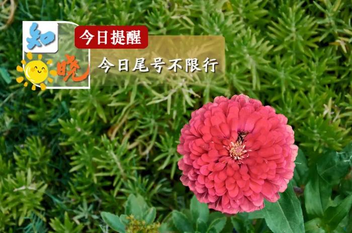 知晓｜16~27℃，​北京义务教育入学平台5月1日起开通，5日开始采集入学信息！“五一”京城滨水景点地图来了！