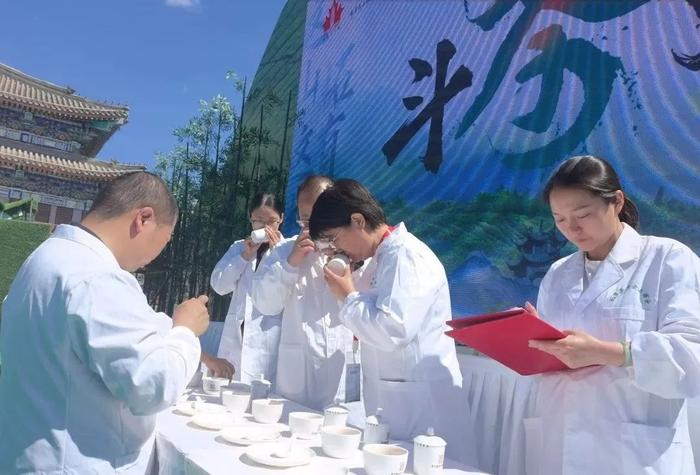 茶王诞生！高山深处有茗香 五一请来石景山