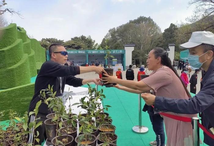 茶王诞生！高山深处有茗香 五一请来石景山