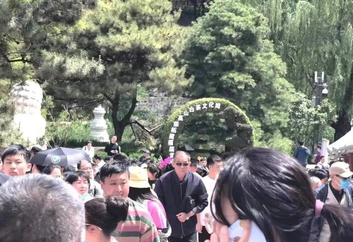 茶王诞生！高山深处有茗香 五一请来石景山