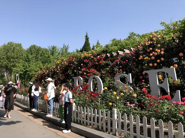 假期前3天，郑州植物园吸引游客12万人次