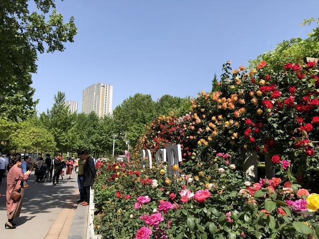 假期前3天，郑州植物园吸引游客12万人次