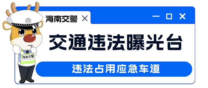 环岛高速、海三高速……海南交警曝光这38辆车！扣分+罚款！