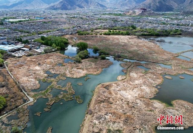 西藏拉鲁湿地对外开放