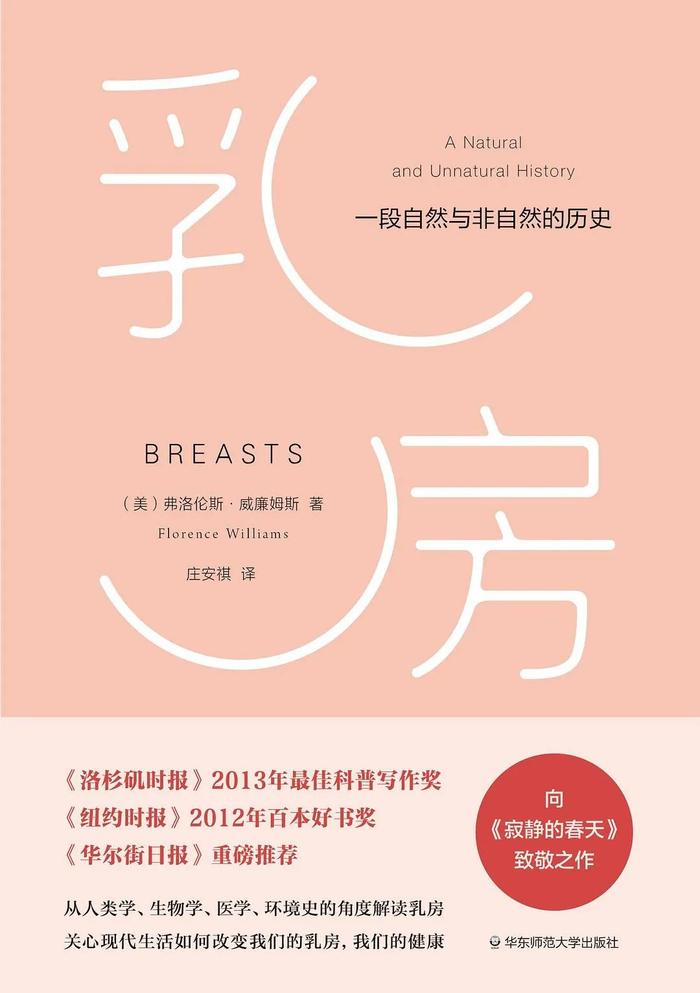 女性内衣的进化：从闺房密语到自由言说