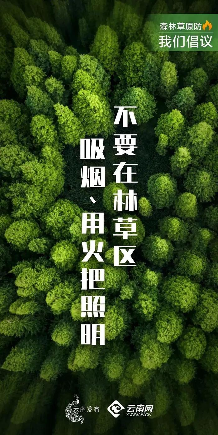 最新！昆明这12家游泳池水质不合格