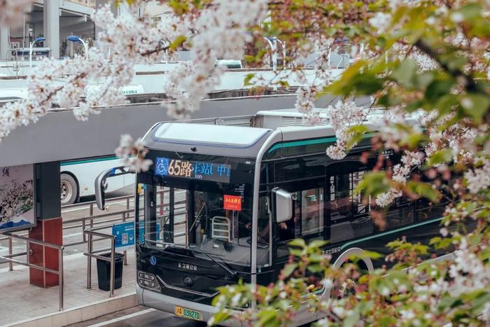 【就业】上海巴士第五公共交通有限公司招聘定向培训公交驾驶员