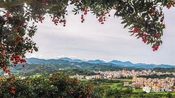 国家级推荐！茂名这条乡村旅游精品线路真美！游玩攻略来了 →