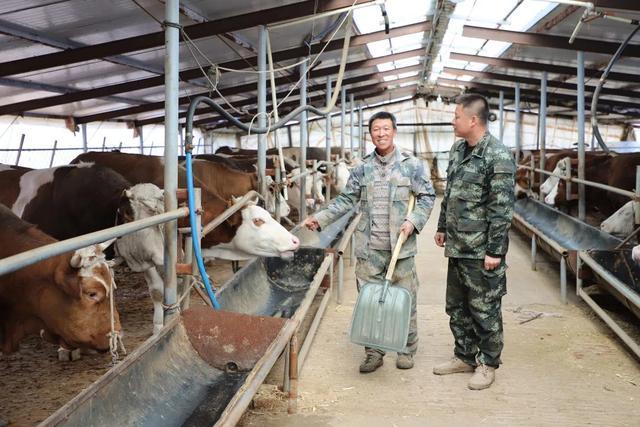 磐石市宝山乡北河村：肉牛养殖让农民日子“牛”起来