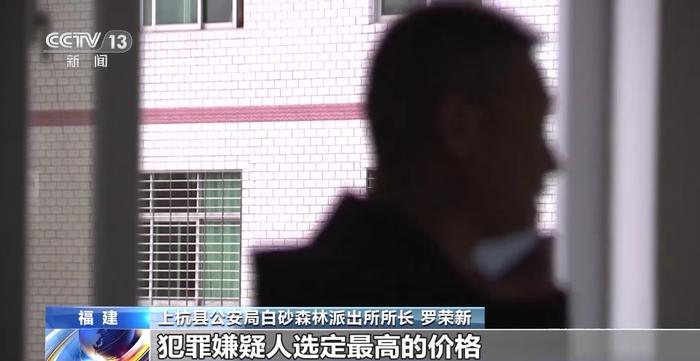 福建破获特大破坏古树案：犯罪团伙人为毒死古樟树，骗取采伐许可证