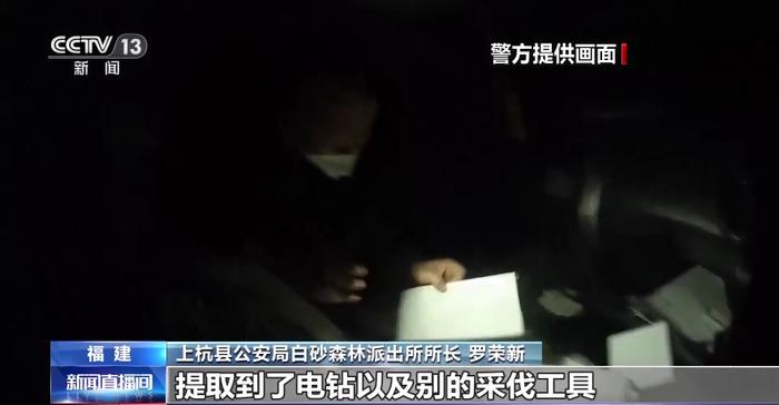 福建破获特大破坏古树案：犯罪团伙人为毒死古樟树，骗取采伐许可证