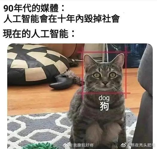 几百块用一个月的数字人，能抢走带货主播的饭碗吗？