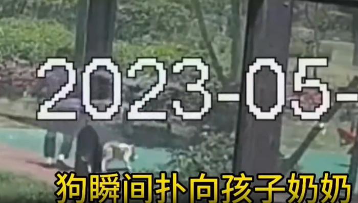 6岁男童被打成脑震荡！只因对遛狗人说了一句话…网友怒了！后续来了→