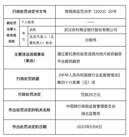 违规向地方政府融资平台提供融资，武汉农商银行被罚25万