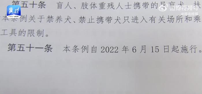 6岁男童被狗主人殴打！最新消息......