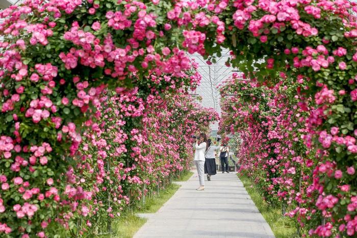 知晓 | 16~31℃，北京2023年积分落户申报结束！超10万人在线申请！北京“公交专用道优化调整”问卷调查启动，请您提建议！