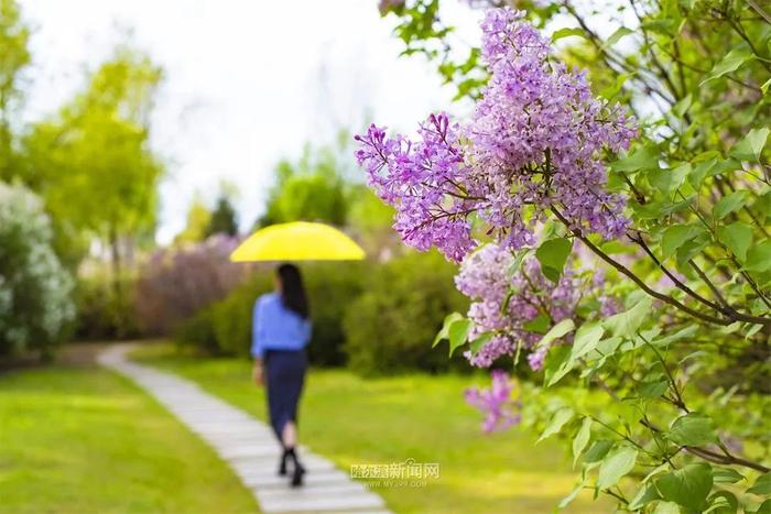 周日天气晴好，下周雨水频繁现身