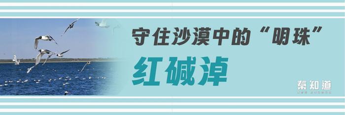 秦知道丨再次挺进全国十强县的神木，有什么惊喜是我们不知道的？