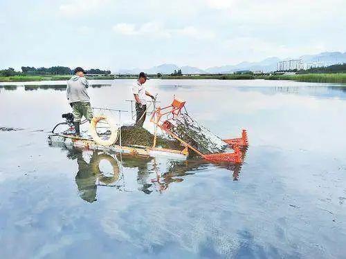 秦皇岛：让良好生态成为经济社会高质量发展的有力支撑