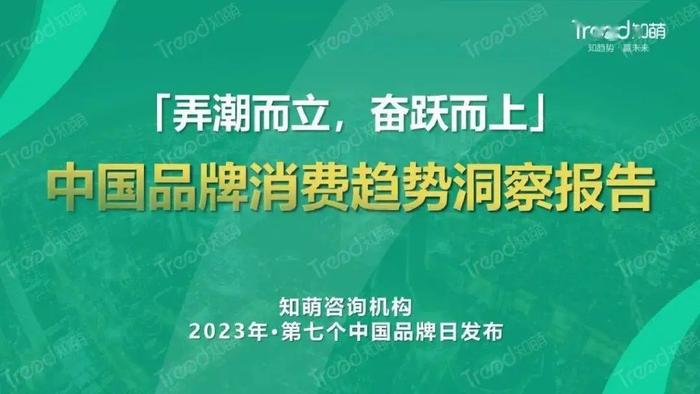 数据报告：2023中国品牌消费趋势洞察报告（31页 | 附下载）