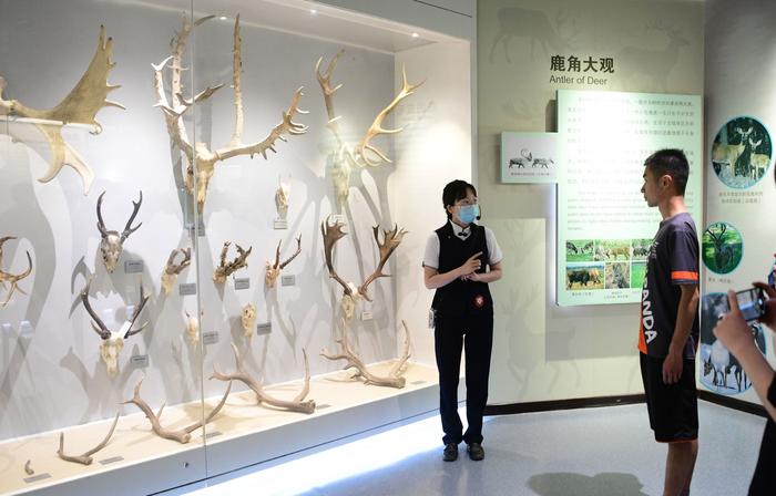 来博物馆和麋鹿做朋友，北京经开区多个文化场所免费开放