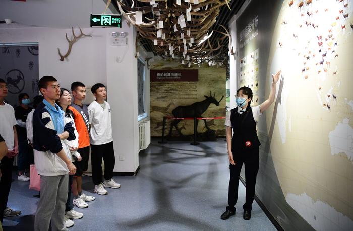 来博物馆和麋鹿做朋友，北京经开区多个文化场所免费开放