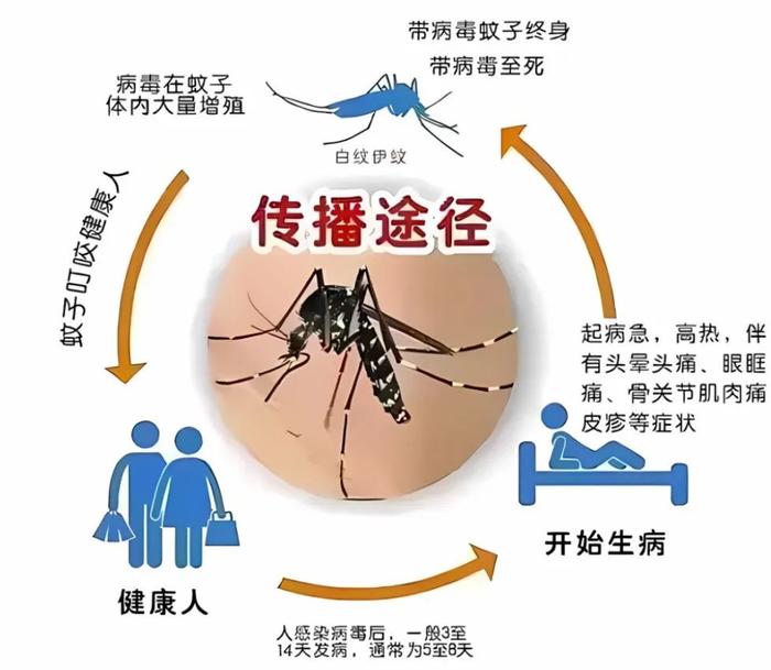 警惕！这种传染病进入流行期，症状与流感、新冠类似