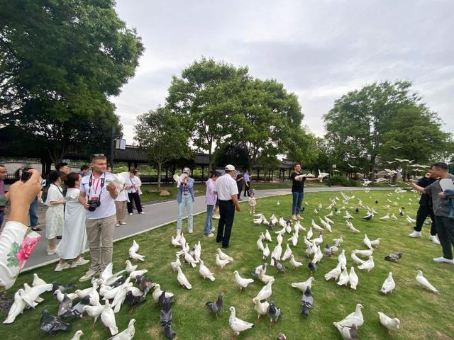 【中国有约】好环境带来好收入：宁波奉化滕头村在绿色生态发展之路上收获满满幸福感