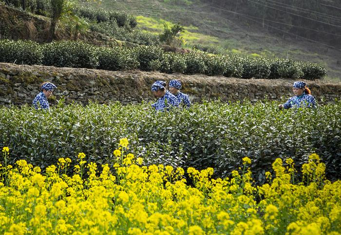 县域旅游缘何崛起？如何化流量为能量？透视小地方的出圈秘籍