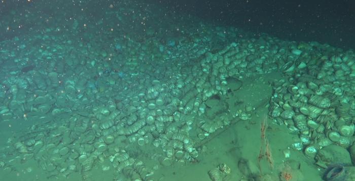 海底高清图片！我国南海发现两处古代沉船