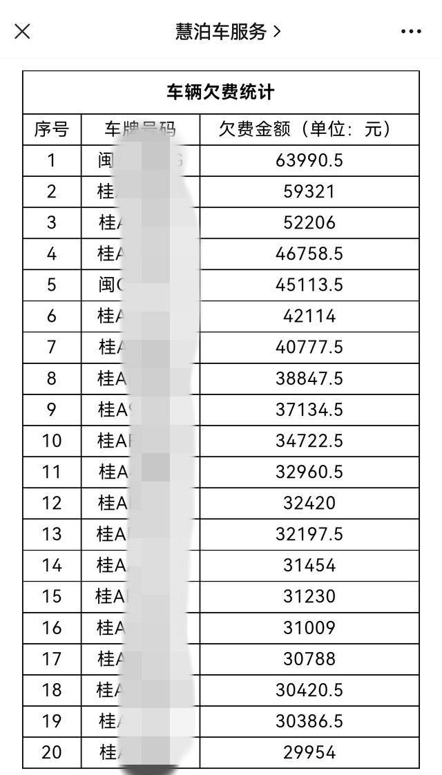 ▲惠泊公司公布的部分欠费车辆。图片来源/惠泊公司公众号