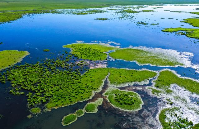 生物多样性日｜物种丰富的四川 如何做好生物多样性保护工作？