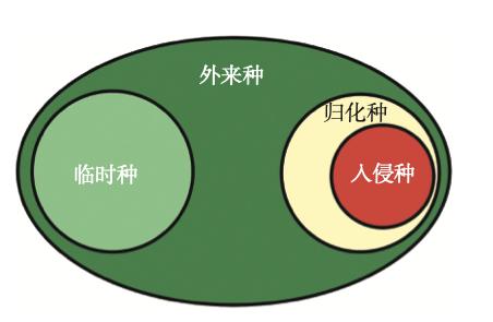 南极大陆上都出现了……