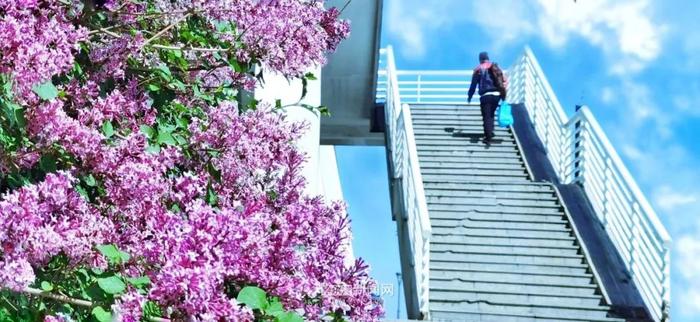 30℃已到！25日至26日有雷阵雨