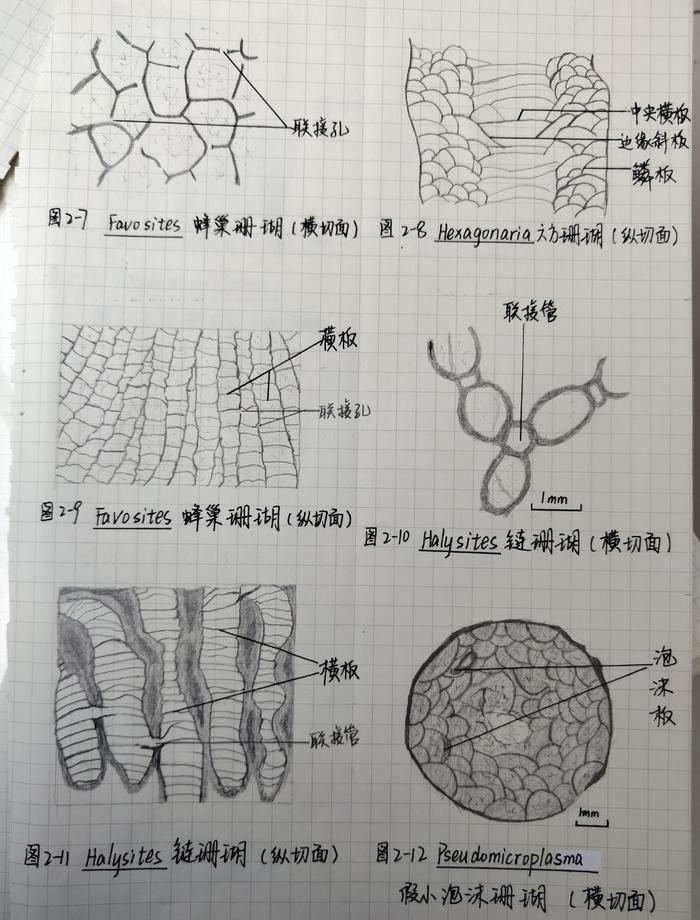 全部保研！边走边学习，每日步数和课堂笔记一样亮眼