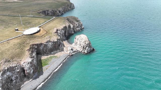 航拍初夏青海湖鸟岛国际重要湿地