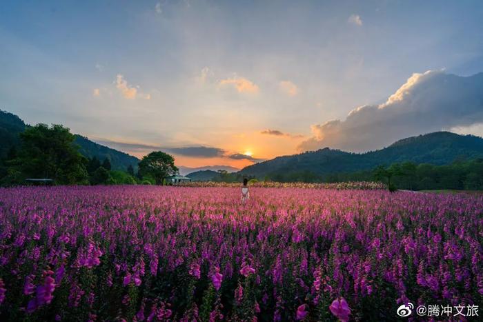 来腾冲，户外活动过盛夏