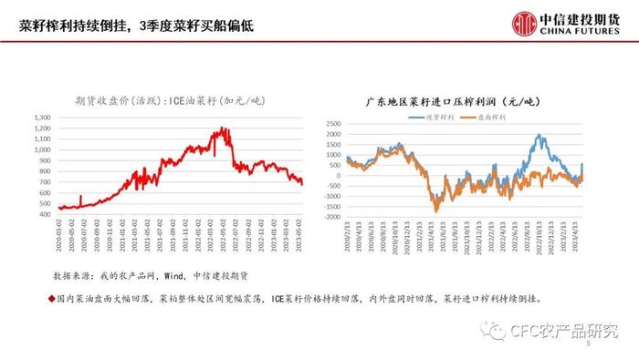 【菜系周报】短期供需未变，07空单续持