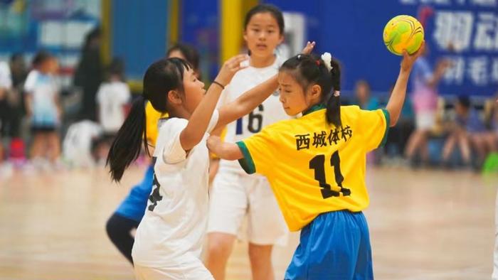 第十五届北京市体育大会手球比赛胜利落幕