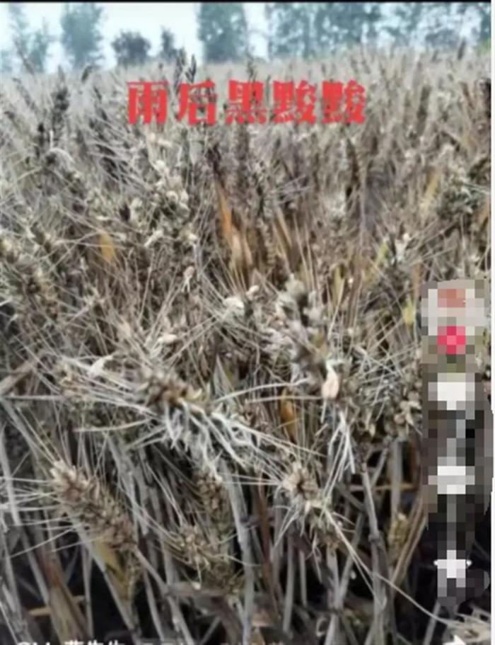 w700d1q75cms.jpg?by=cms_fixed_width