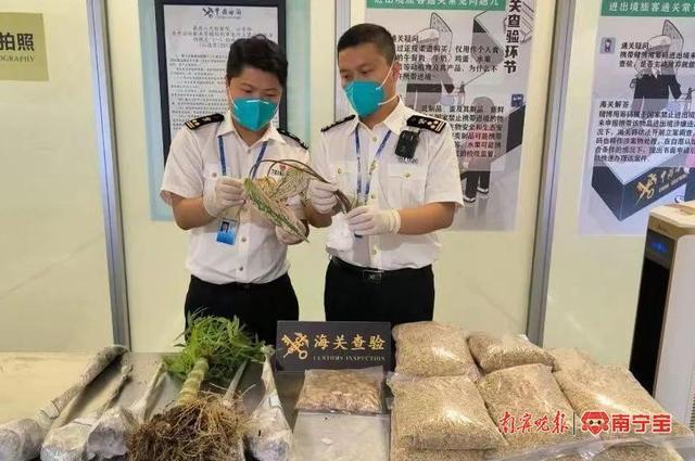 进境旅客行李中查获未申报植物种子种苗，海关依法截留