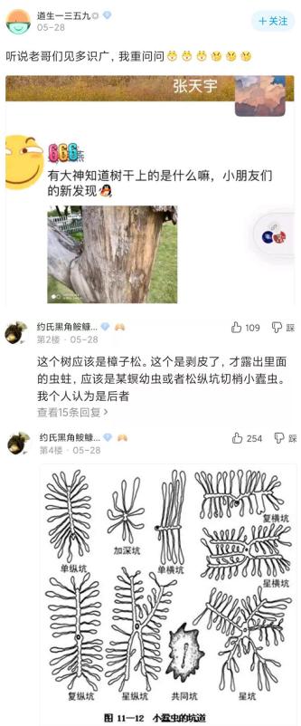 中年男人的第二春，都在鱼塘里