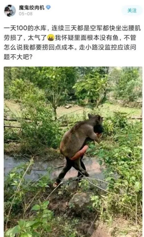 中年男人的第二春，都在鱼塘里