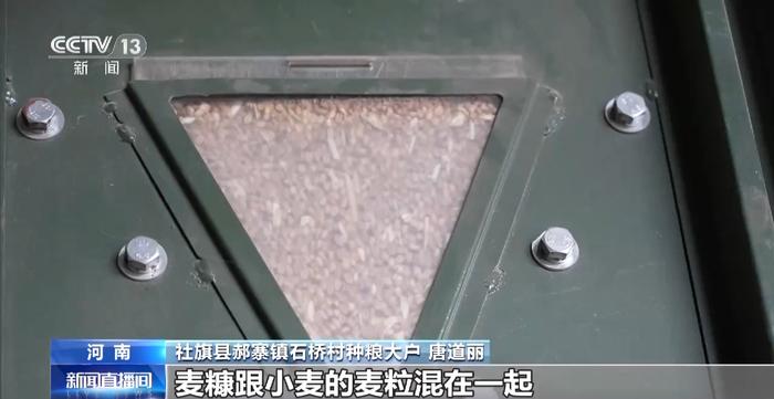 小麦收获期遭“烂场雨”，河南全面摸排烘干设备确保应上尽上