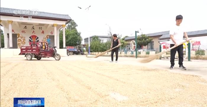 小麦收获期遭“烂场雨”，河南全面摸排烘干设备确保应上尽上