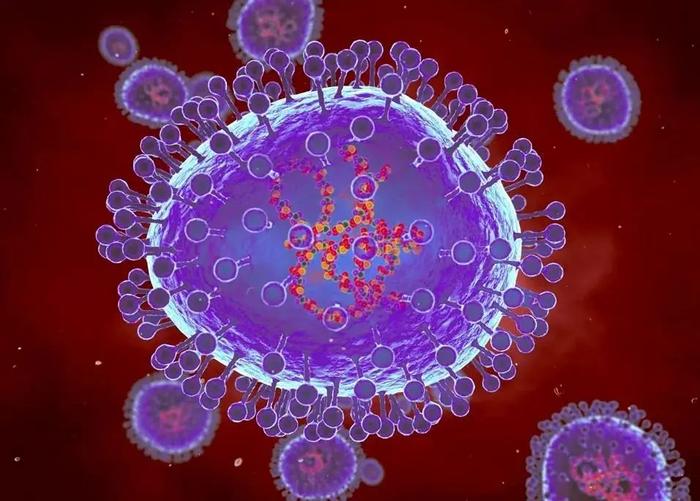 CDC：不是新冠不是甲流！正暴发的HMPV病毒，感染100天后死亡率43%