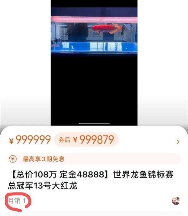 108万！一条龙鱼价值一套房？鱼主：没有出售打算