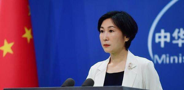 毛宁 资料图 图源:外交部网站
